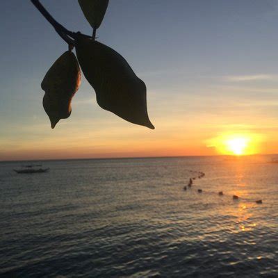 kantutan twitter|@kantutan19 .